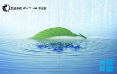 ϵͳ⼤win11 64λ޲ٰv2025.05