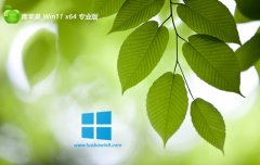 ƻϵͳwin11 64λȰv2025.05⼤