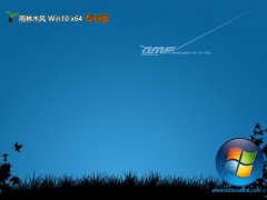 ľ64λwin10ȶv2025.05