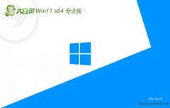 ײwin11ȫ64λv2025.05⼤