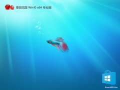 ѻ԰win10Я64λv2025.05⼤
