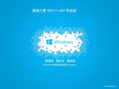 ϵͳ֮win11 64λ ⼤ɫرv2025.05