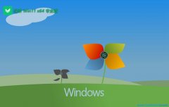 ̲ϵͳwin11Ƽ64λv2025.05